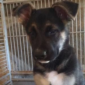 Meet your Posher, Mai